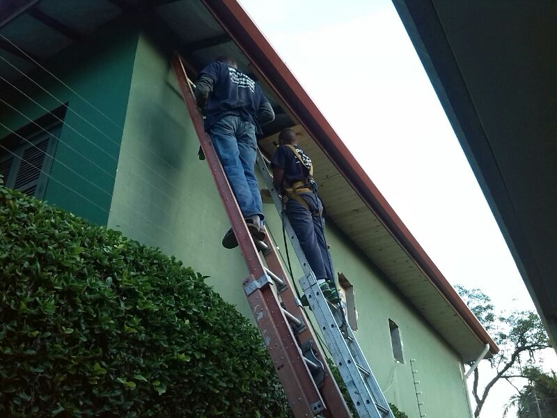 Forro de Pvc Colorido Preço Butantã - Forro em Isopor